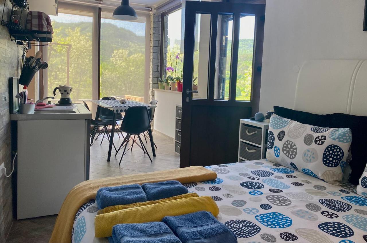 Apartman Verona Buzet Extérieur photo