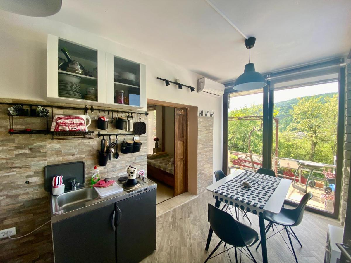Apartman Verona Buzet Extérieur photo
