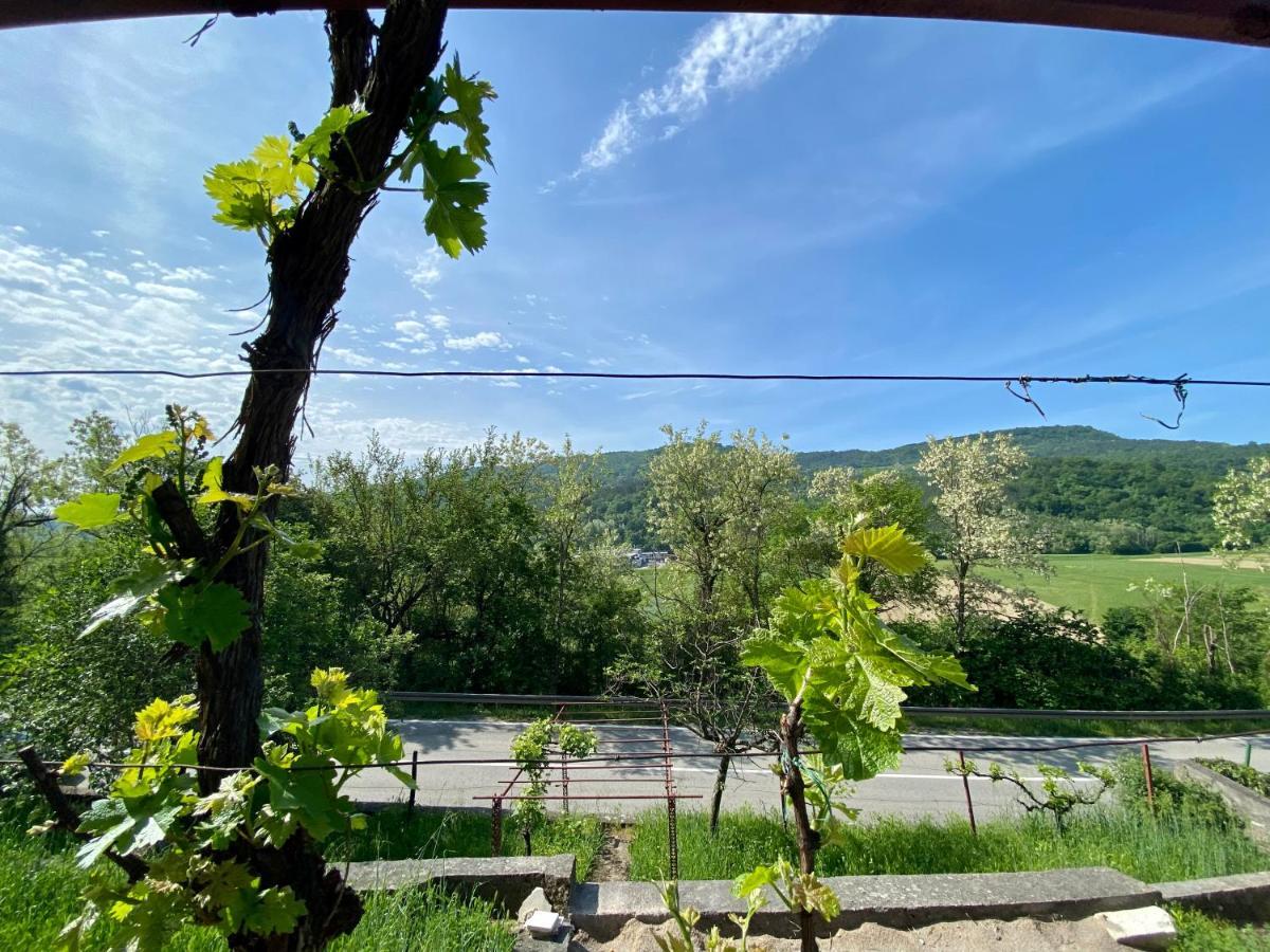 Apartman Verona Buzet Extérieur photo