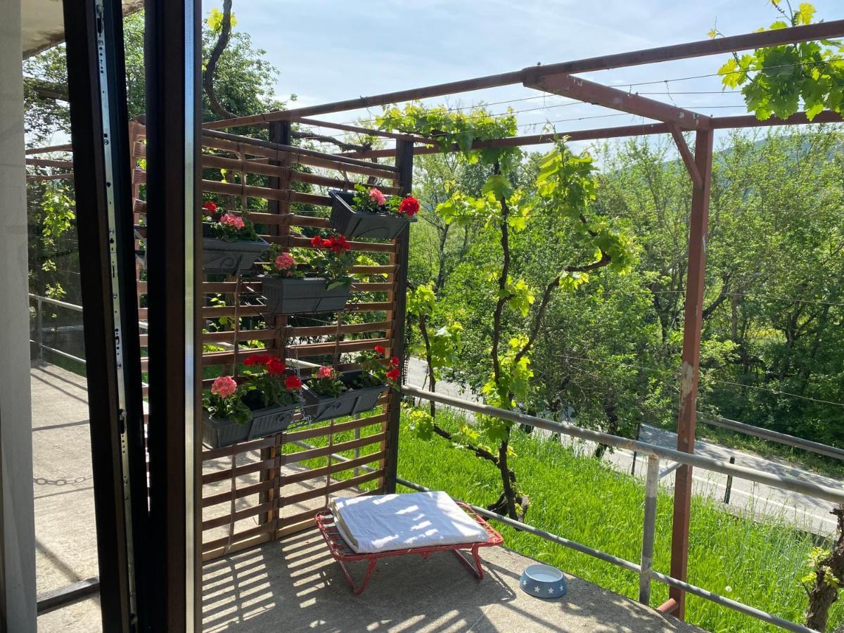 Apartman Verona Buzet Extérieur photo