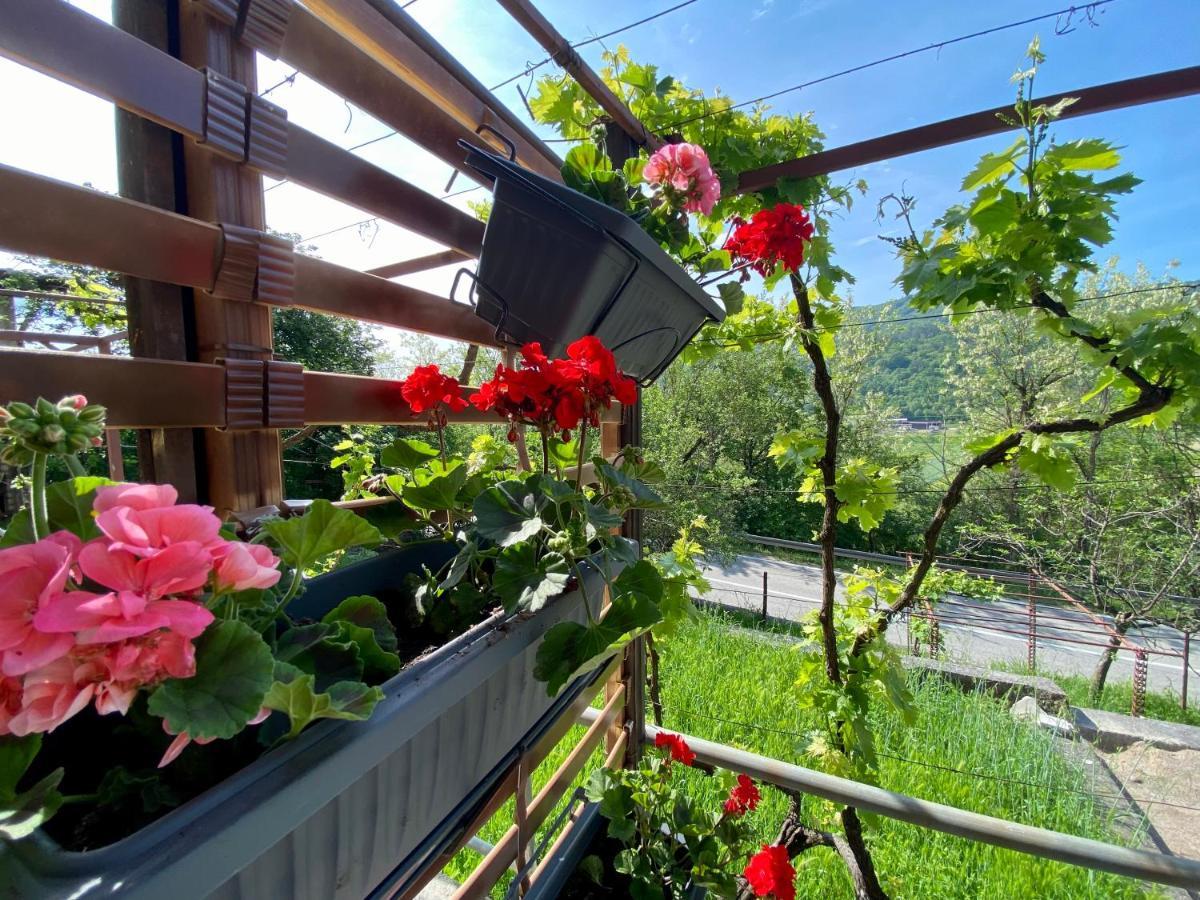 Apartman Verona Buzet Extérieur photo